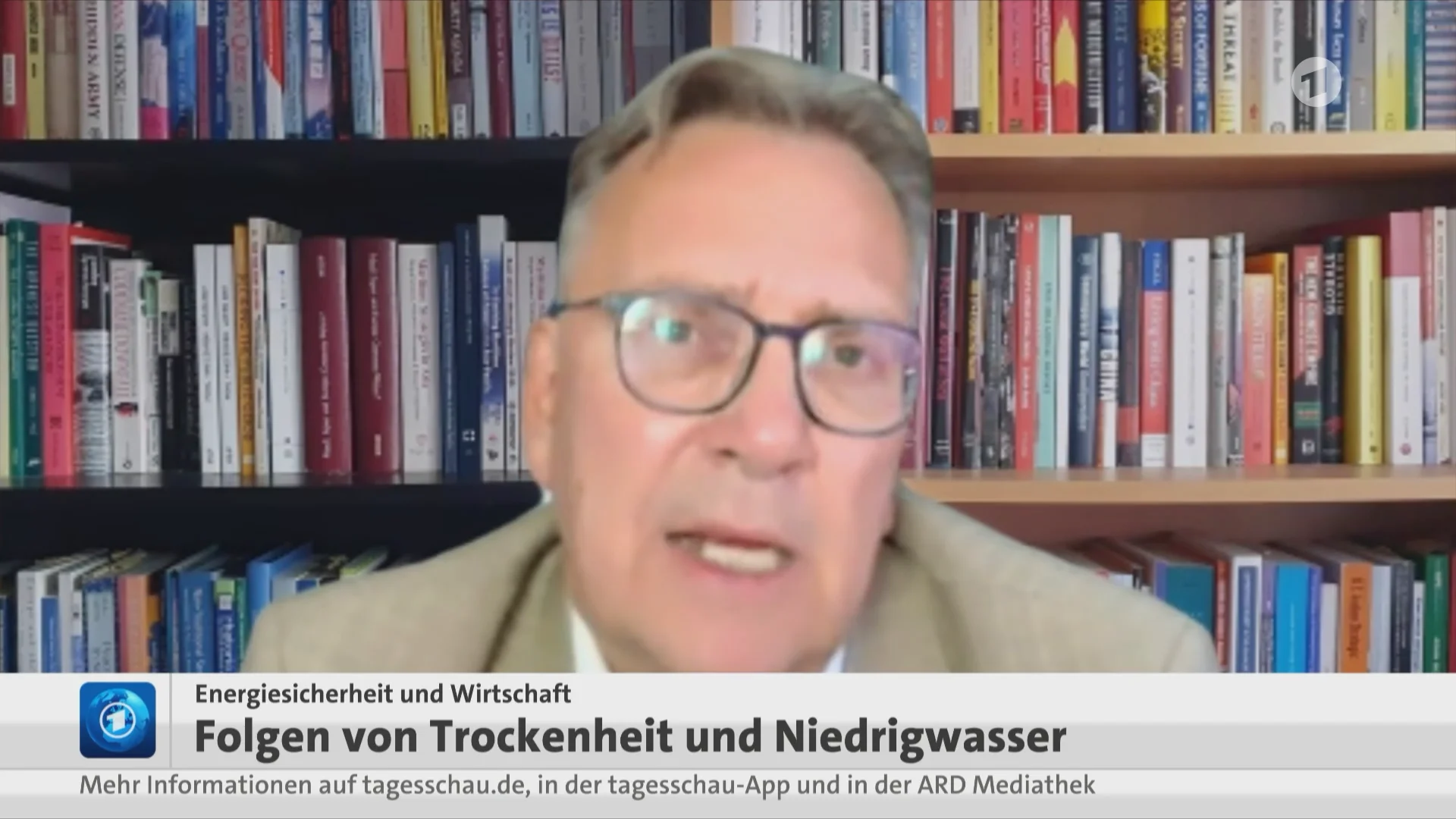 Frank Umbach im Interview mit Tagesschau24 zur europäischen Energiesicherheit