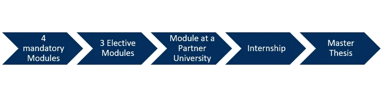 2023_05_09_Grafik Studienverlauf.png