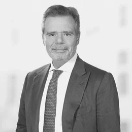 Dr. Friedbert Pflüger