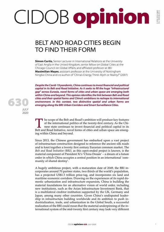 Curtis and Mayer - 2020 - Belt and Road cities begin to find their form.jpg